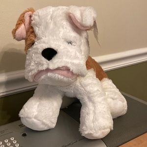 Teddy Mountain BULLDOG